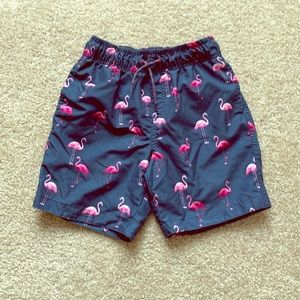 Boys Flamingo Swim Trunks